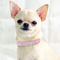 Spersonalizowane obroża dla kota Rhinestone Puppy małe obroże dla psów niestandardowe dla Chihuahua Yorkshire darmowe nazwa Charms kot akcesoria 3
